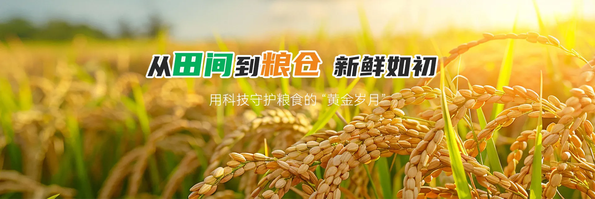 产品中心